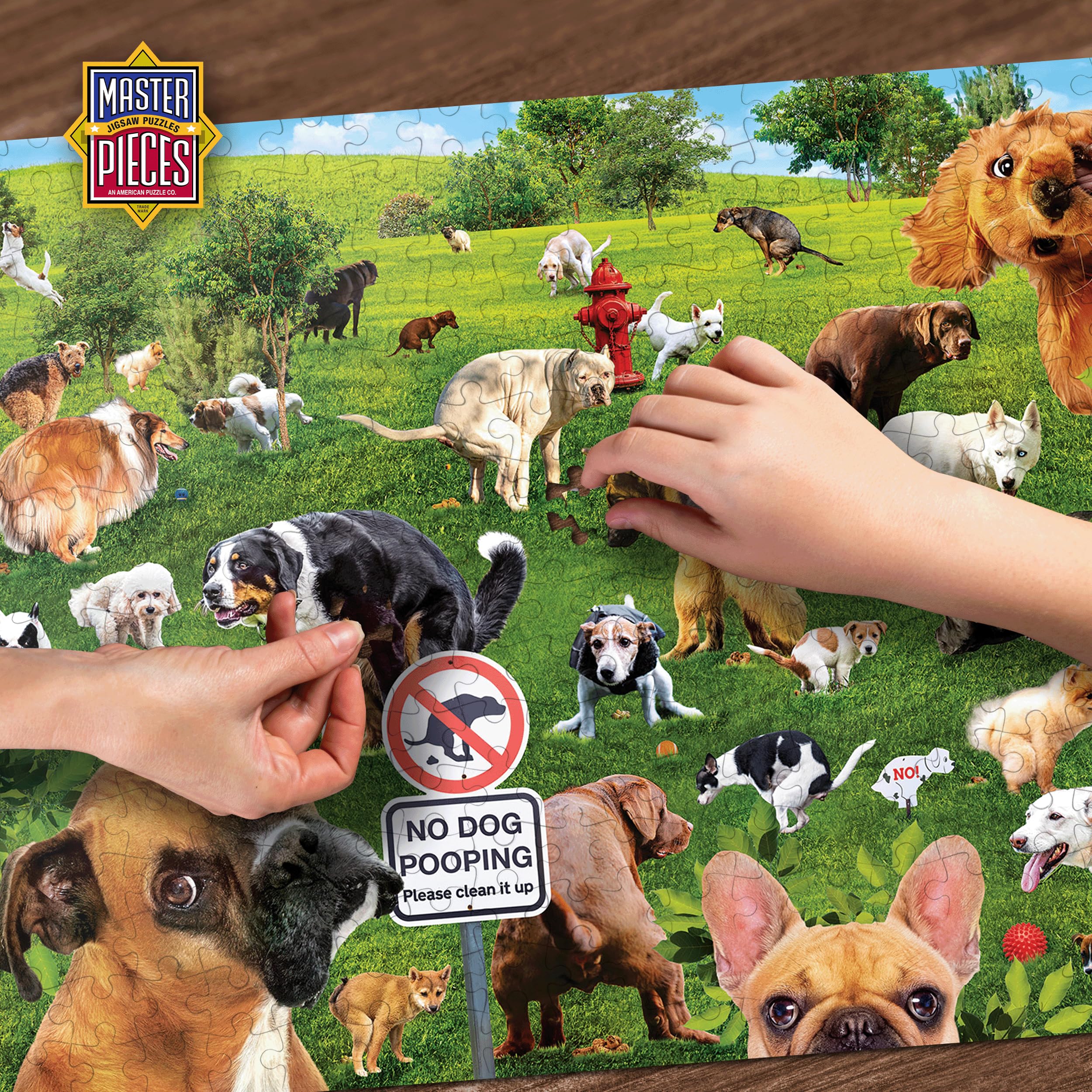 Amazon.com: MasterPieces 1000 Piece Jigsaw Puzzle for Adults