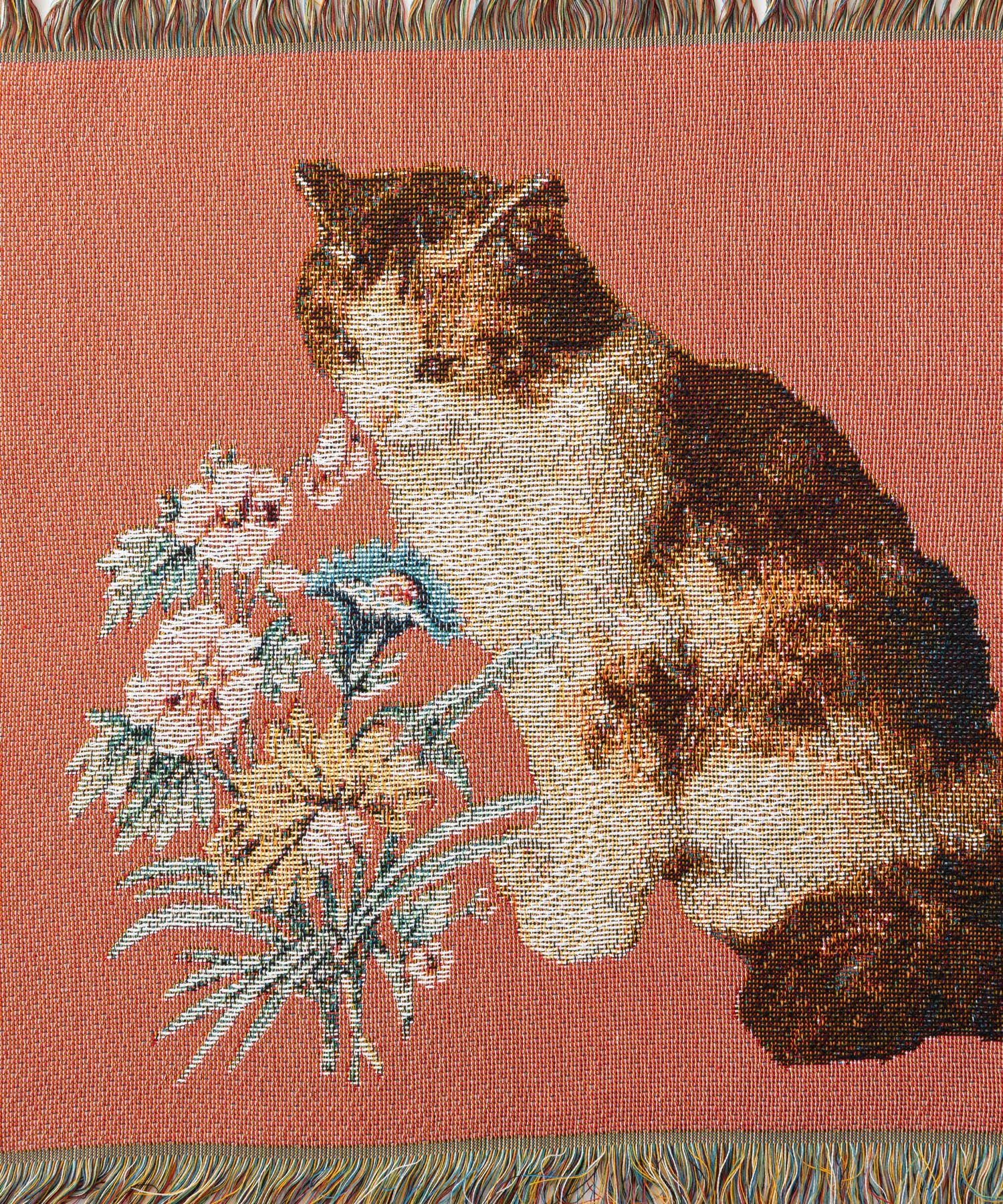 Amazon｜Jubilee ジャガード織 猫柄 ラグマット スローケット 50x70cm