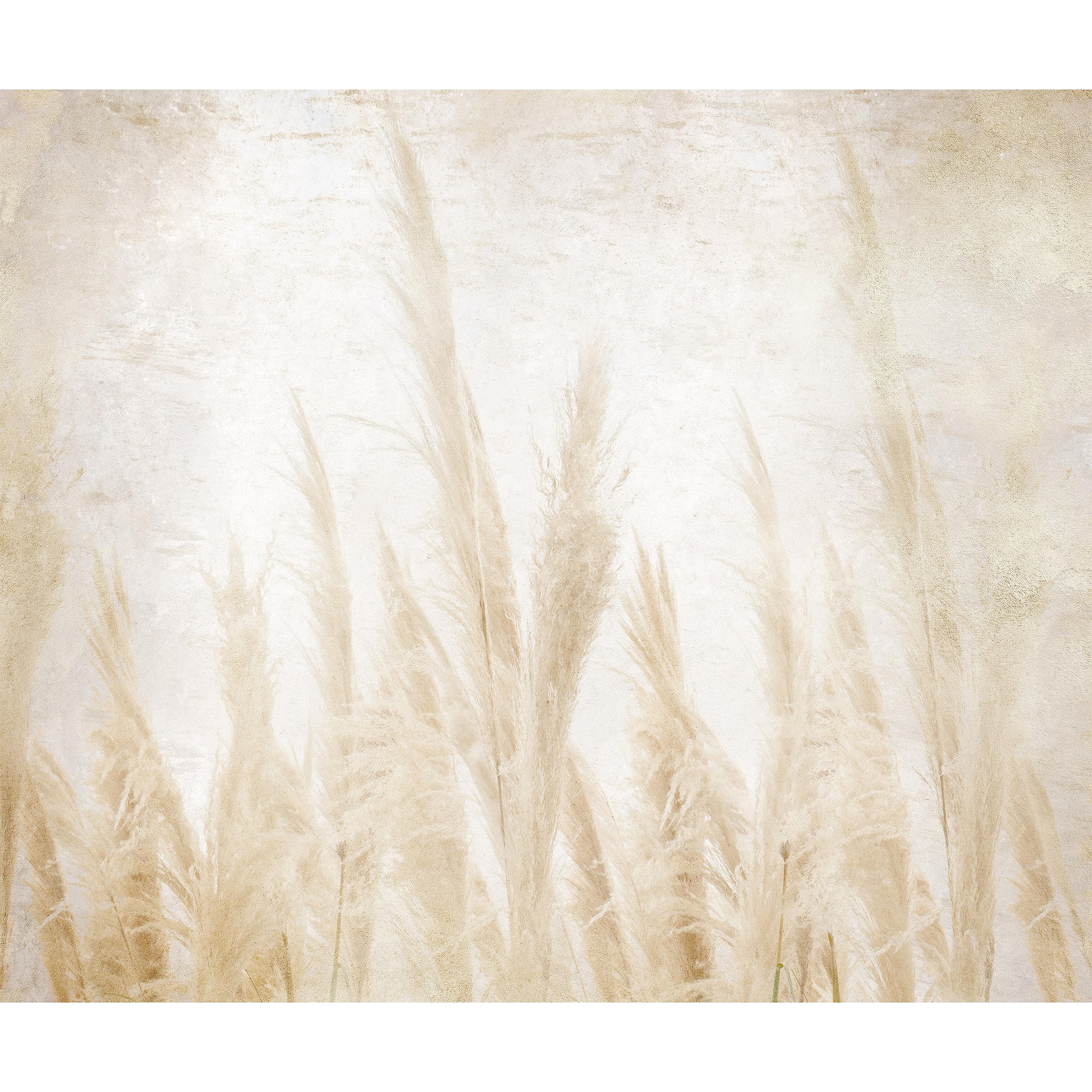 murando - Fototapete Vlies Natur, 500x350 cm, Schlafzimmer, Wohnzimmer | Full HD Druck, 3D-Effekt, lichtbeständige Farben, ideal fürs Wohn- oder Schlafzimmer, schnelle Montage, lichtbeständig, edel
