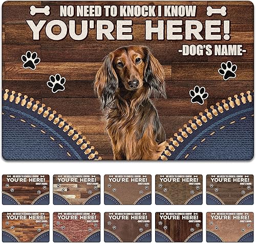 PREZZY Dachshund - Tapete de puerta personalizado con nombre de perro para puerta delantera, entrada al aire libre, antideslizante, divertido regalo