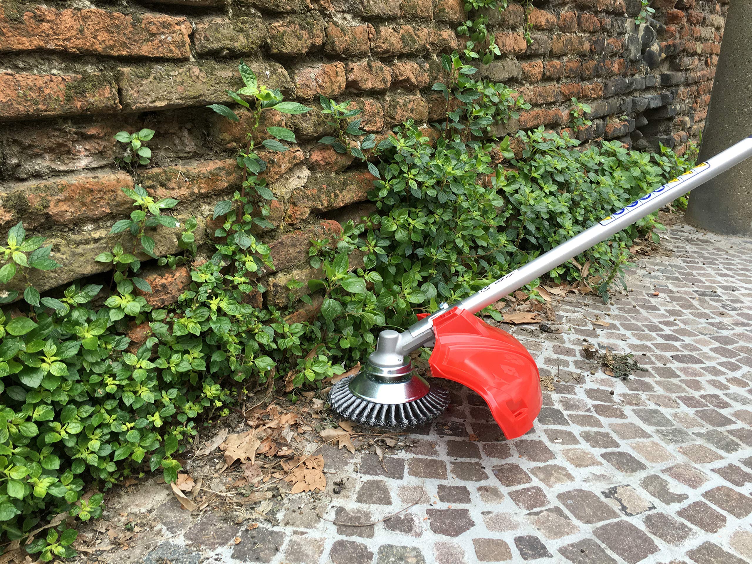 cepillo cónico para cortabordes indicata para quitar facilmente Arbustos, malas hierbas, vegetazione incontrollata de calles, suelos, hormigón, asfalto, Patio, parkings. válida alternativa a diserbanti químicos. utilizar su cafeteras preferibilm