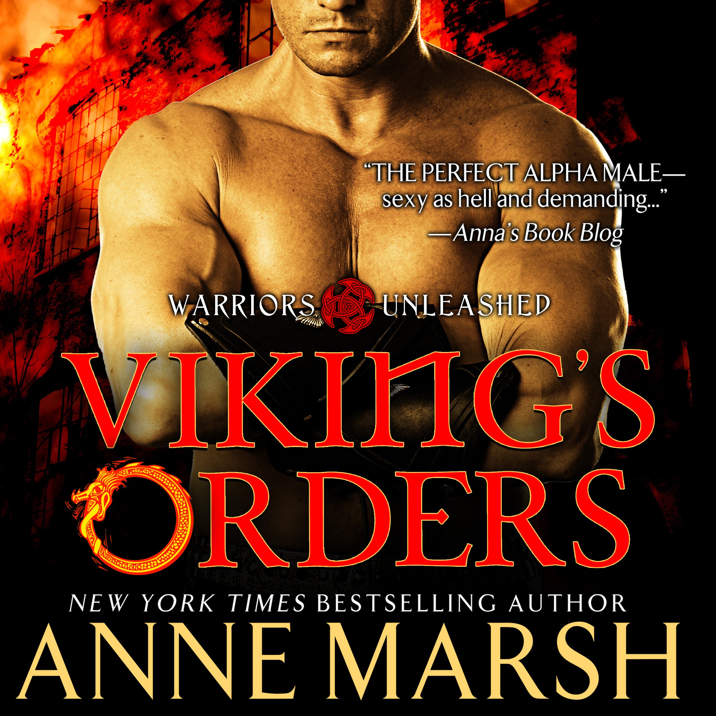 Cover art for Viking's Orders