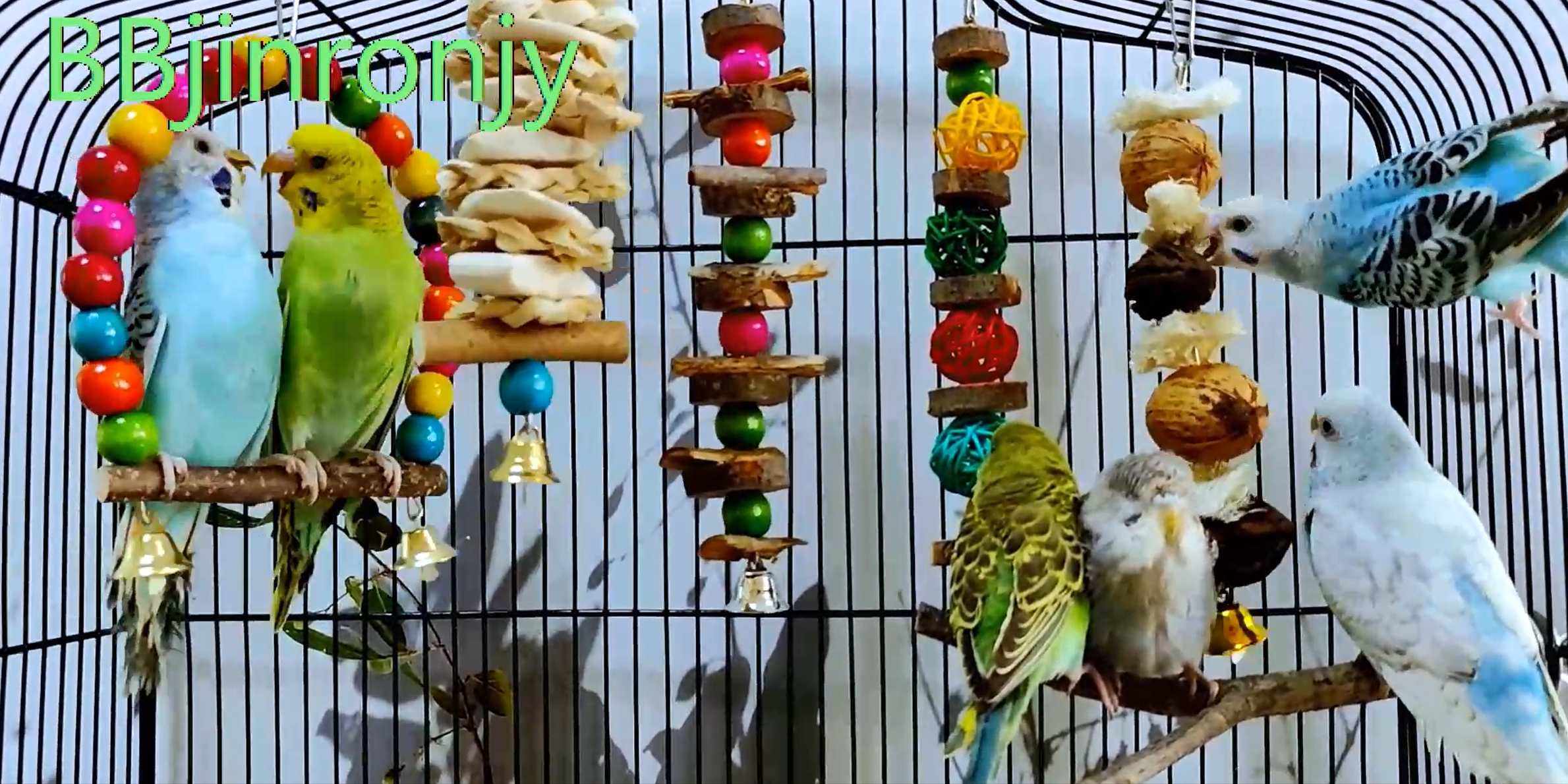 Set Giocattoli Per Uccelli 8 Pezzi - Altalena, Campanelle E Giochi Da Masticare Per Pappagalli