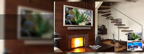 aquário de peixe branco grátis HD - decore seu quarto com um lindo aquário em sua TV HDR 4K, TV 8K e