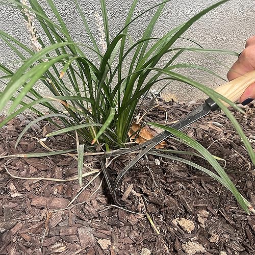 Miniatura 5 de Rastrillo de mano DeWit Bio