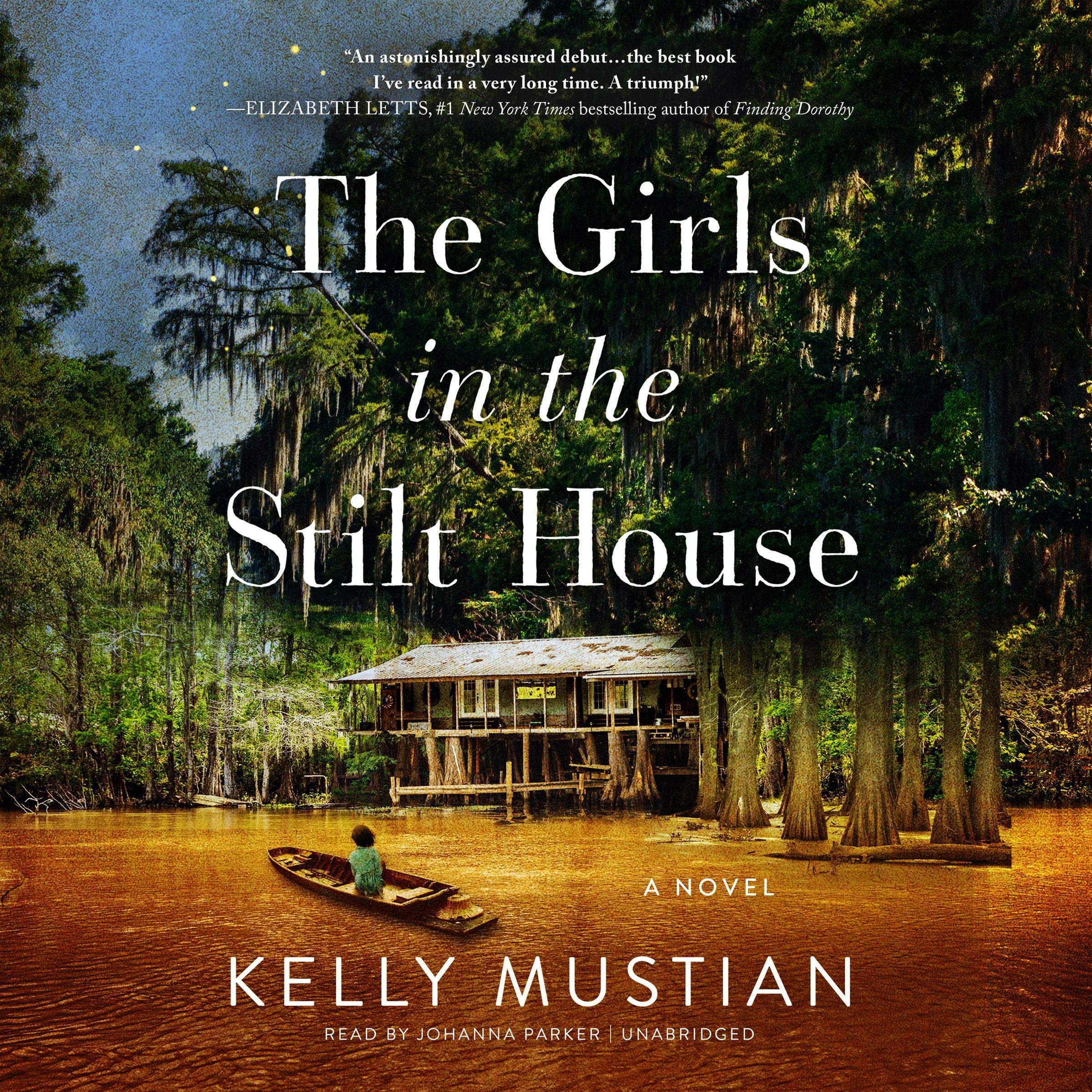 Cover art for The Girls in the Stilt House