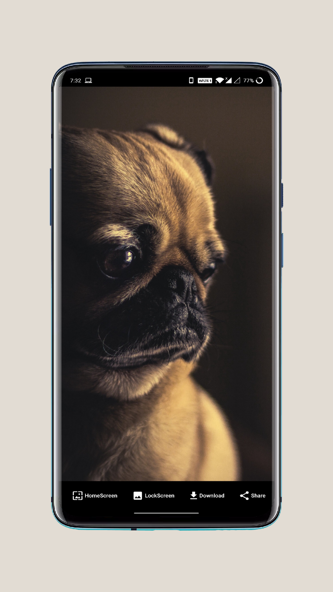 HD Dog Wallpapers & BackgroundsAmazon.inAppstore for Android