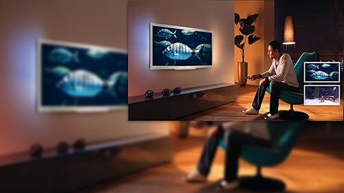 free rush aquarium HD - multidão de peixes grandes no aquário em sua TV HDR 4K, TV 8K e dispositivos