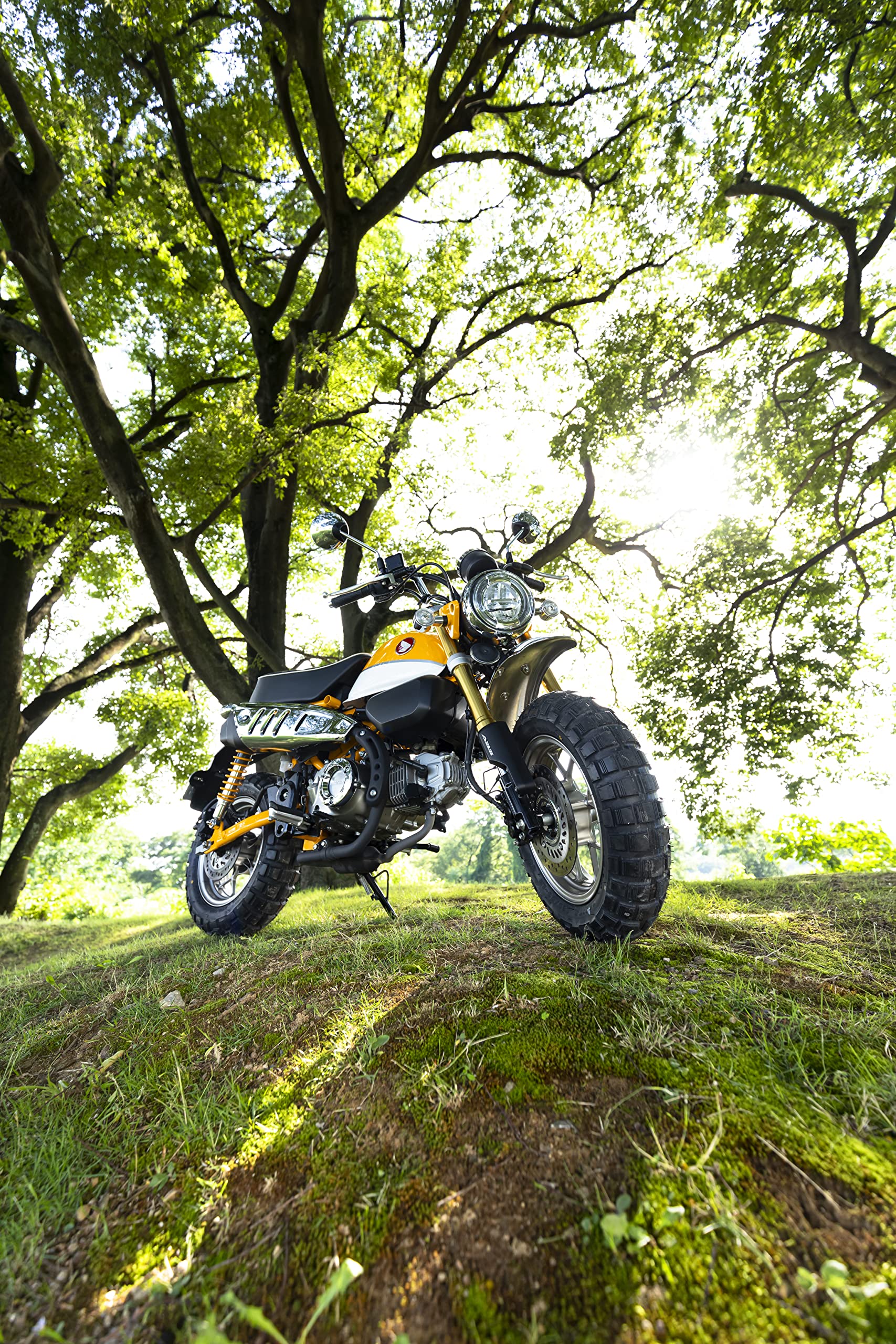 Amazon.co.jp: アイアールシー(iRC Tire) IRC井上ゴムバイクタイヤ TG