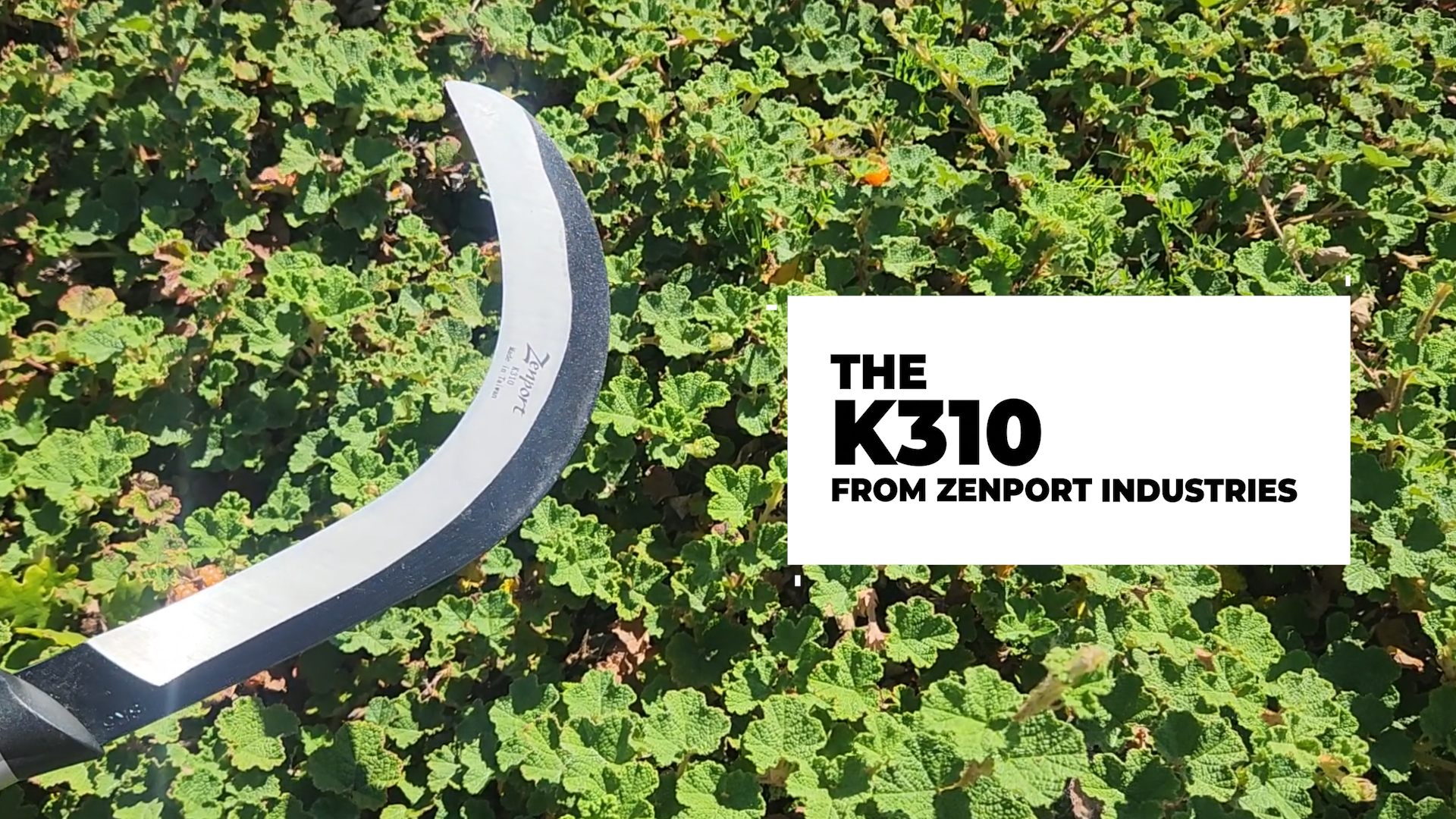 Amazon.com : Zenport K310 Brush Clearing Sickle with 9-Inch Carbon
