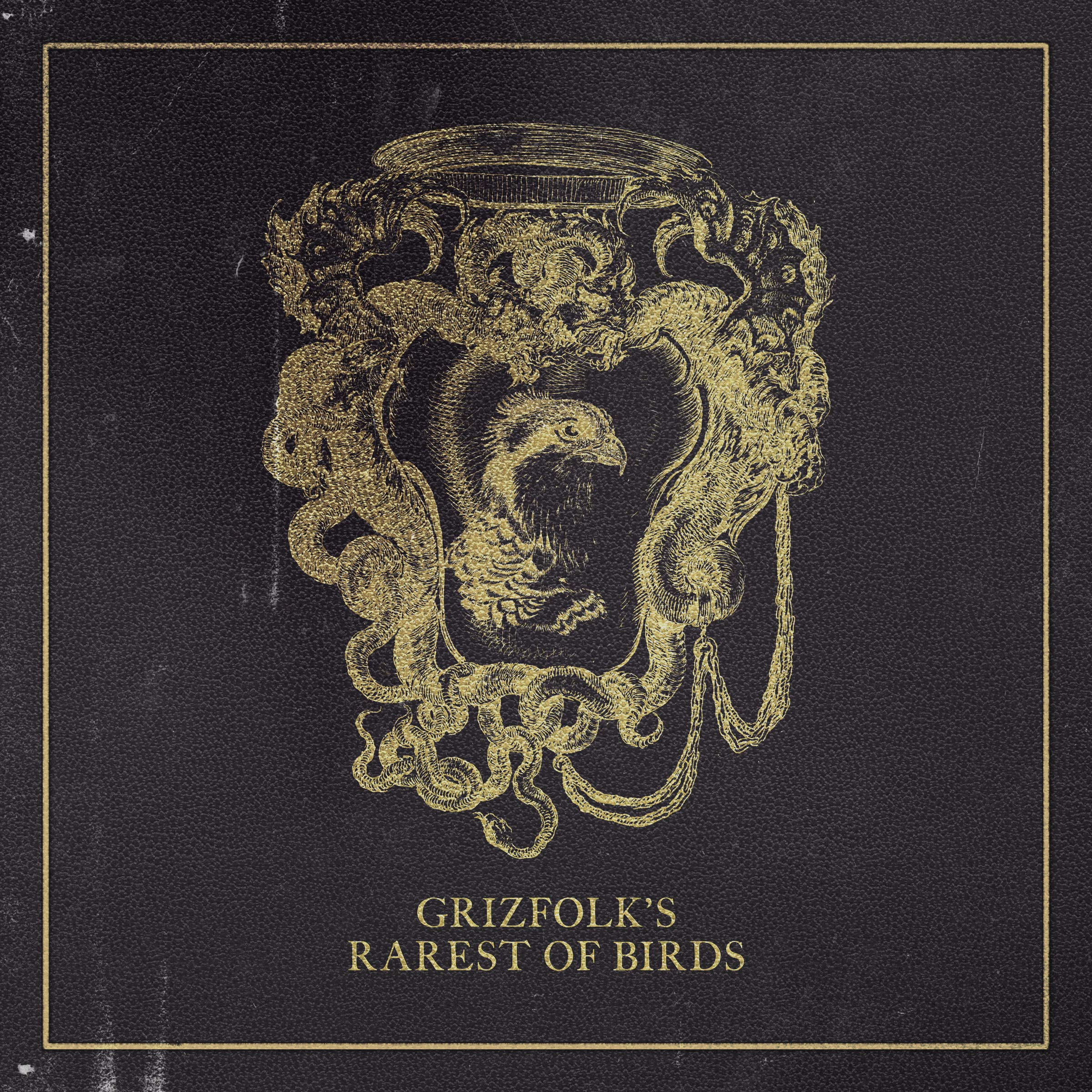 Rarest Of Birds [Audio CD] Grizfolk