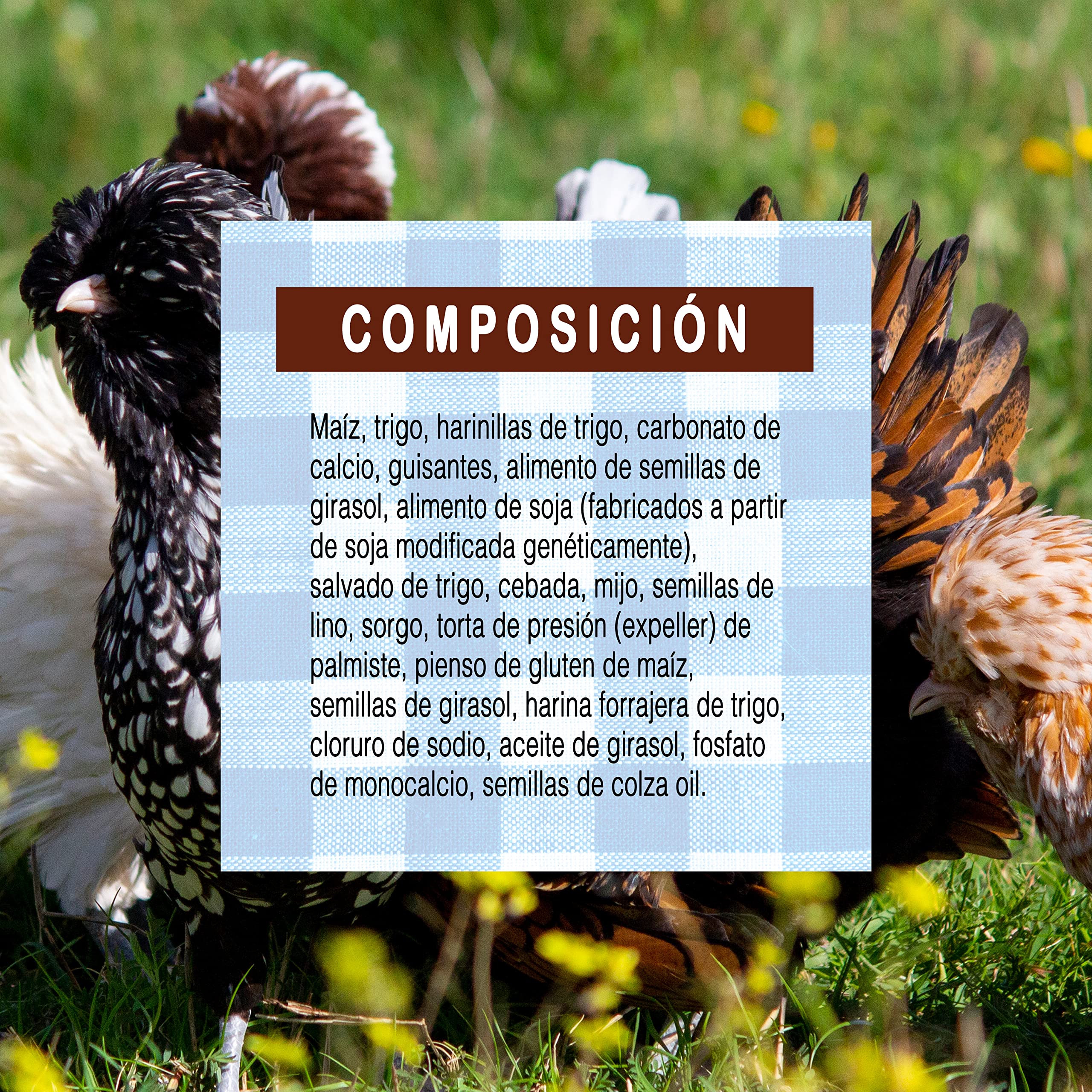Pienso para Gallinas - Gold 4 Mini Mix - Ideal para gallinas Enanas o Ligeras - Mejora la Puesta y Calidad del Huevo - Saco 20kg - Versele Laga