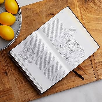 NRSVCE, Illustrated Catholic Bible, Leathersoft, Black, Comfort