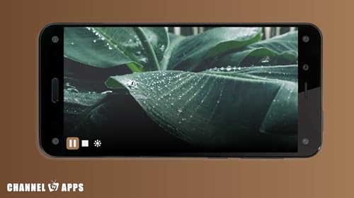 Som da Floresta de Chuva & Natureza: Sons Relaxantes da Floresta de Chuva para Dormir ou Estudar Son