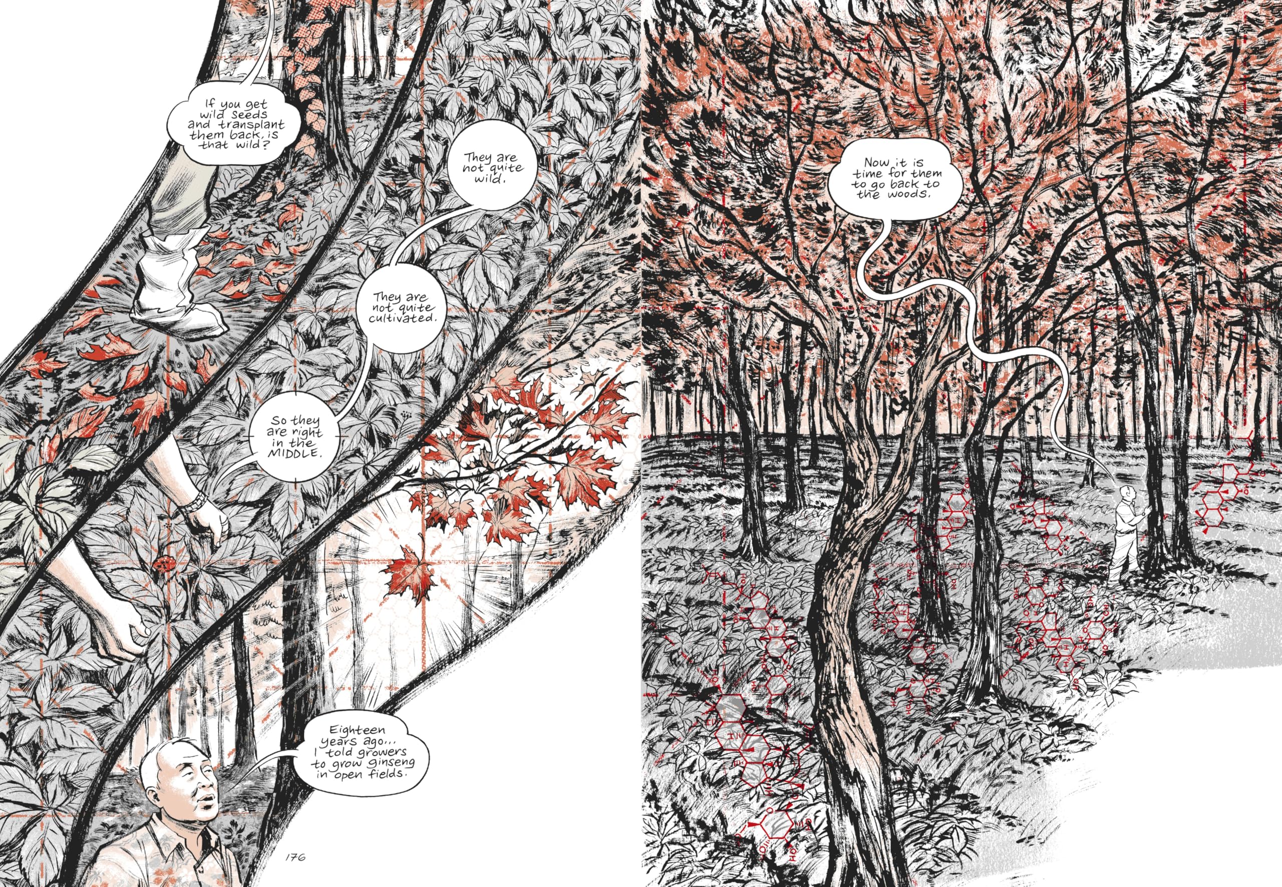 Ginseng Roots: A Guardian Graphic Novel of the Year