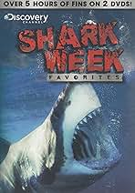 SHARK DVD-BOX(通常版) 9jupf8b Sharks Deluxe Box Set of 4 DVD'S Collectors Set from Topics