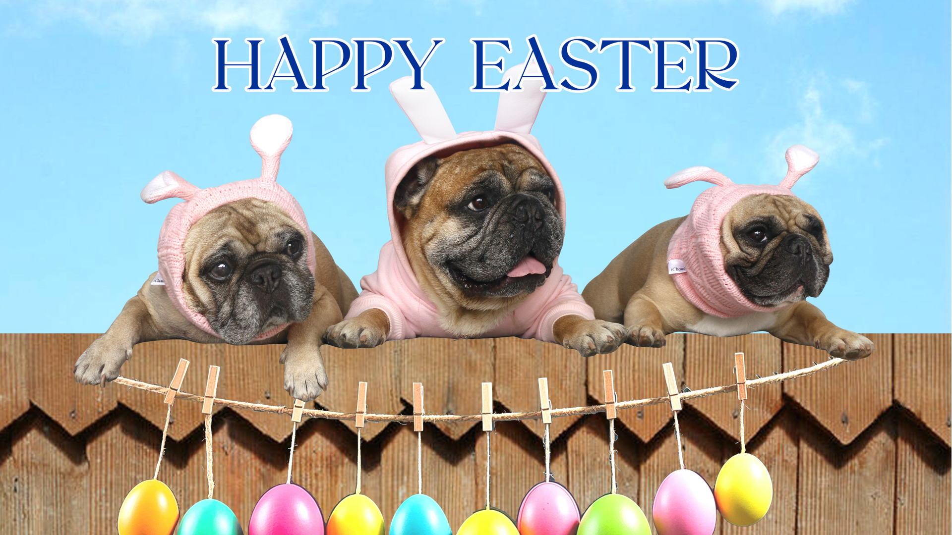 Bumble And Bumble IChoue Dog Little Devil Costumes Clothes Sweater