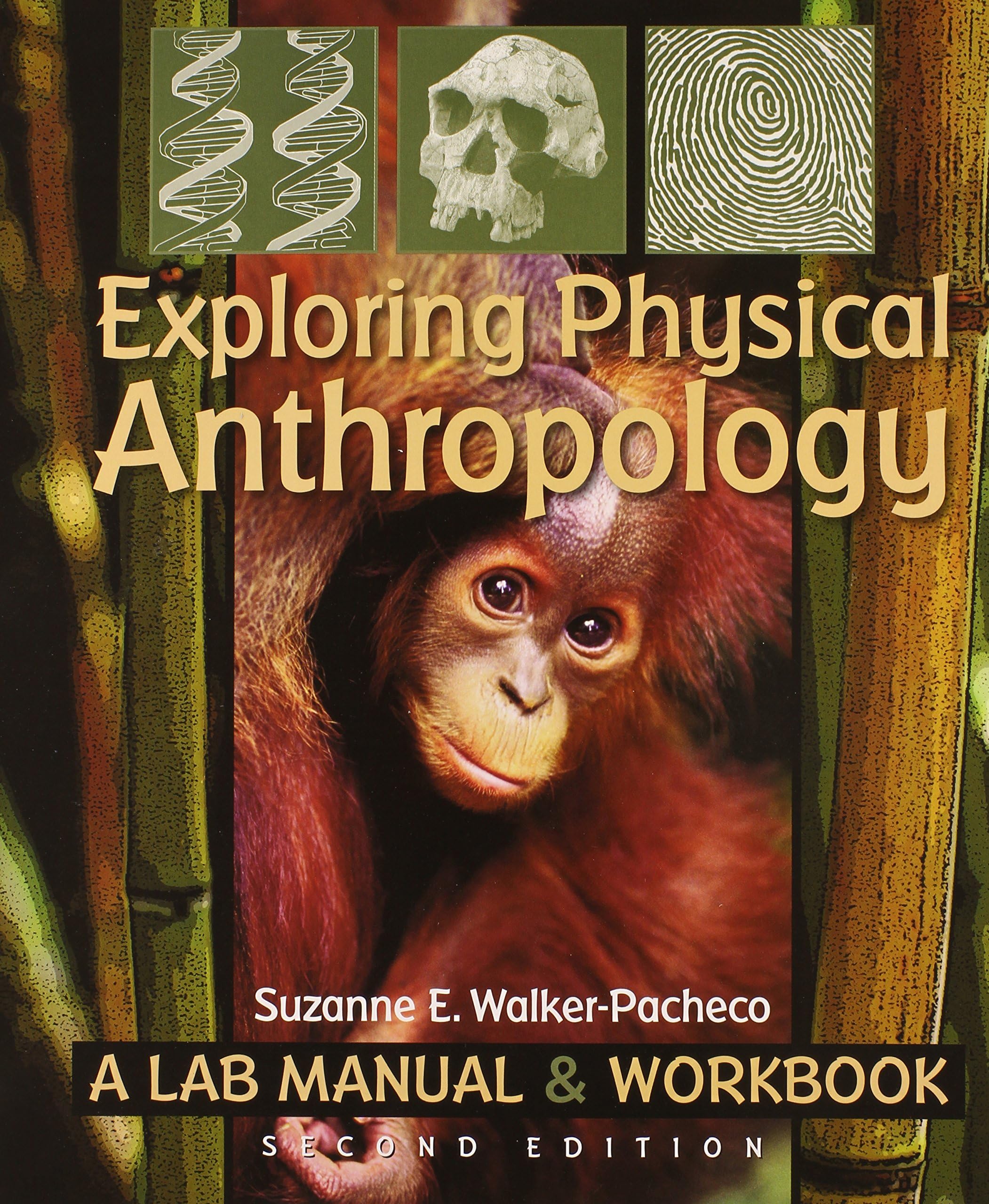 Exploring Physical Anthropology Lab Manual, Workbook Edition