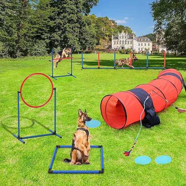 YITAHOME Dog Agility Training Equipment Set with Flexible Tunnel, Hurdle, Jump Ring, 6 Weave Poles, Pause Platform, Teaser Pole, 3 Flying Discs, and Carry Bags for Indoors Outdoors, Orange/Blue