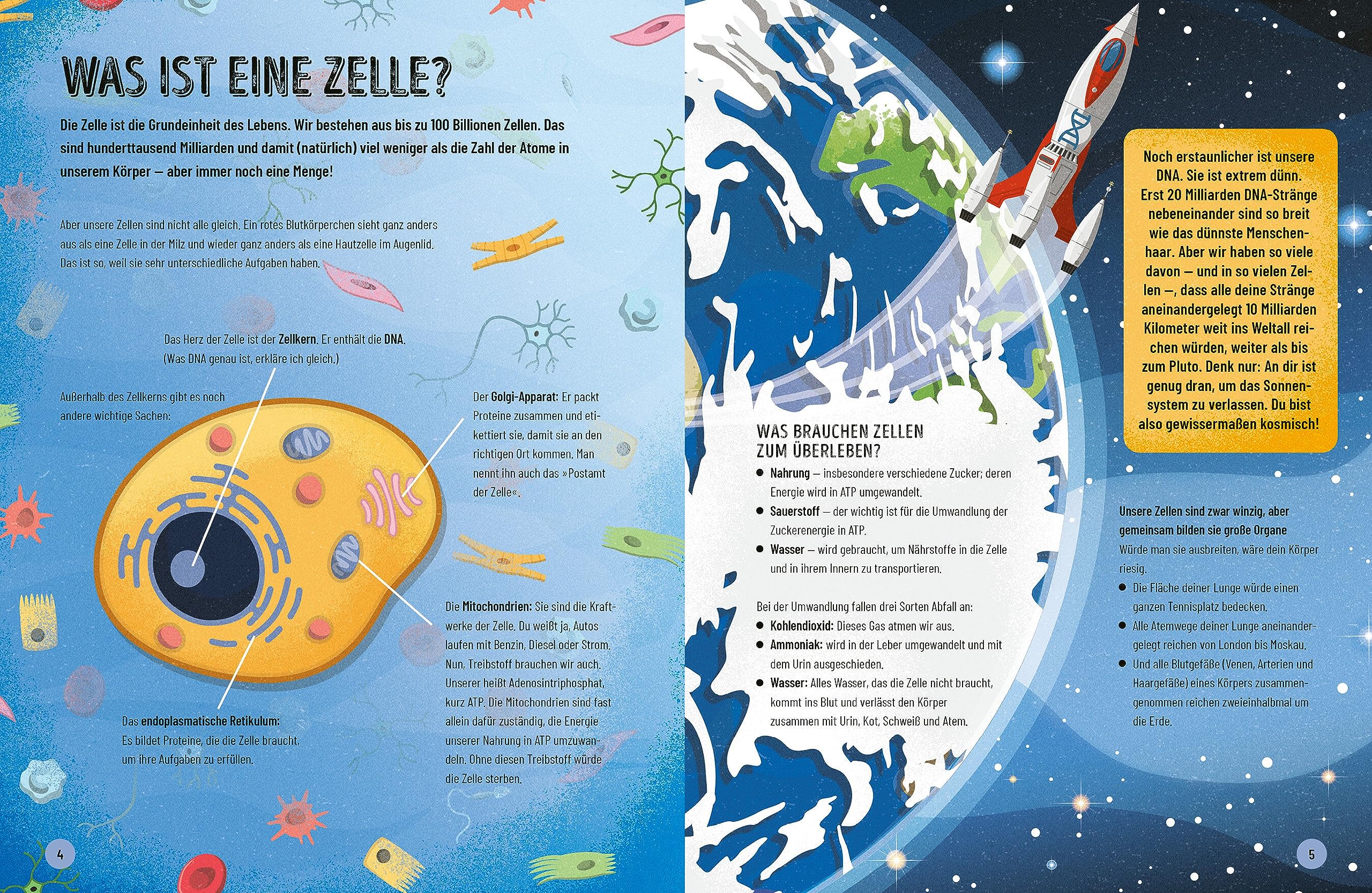Eine kurze Geschichte des menschlichen Körpers - Eine atemberaubende Reise von der Nasenspitze bis zum großen Zeh: Überarbeitete Neuausgabe nach dem ... Bryson - Ausgabe für junge Leser*innen: 2