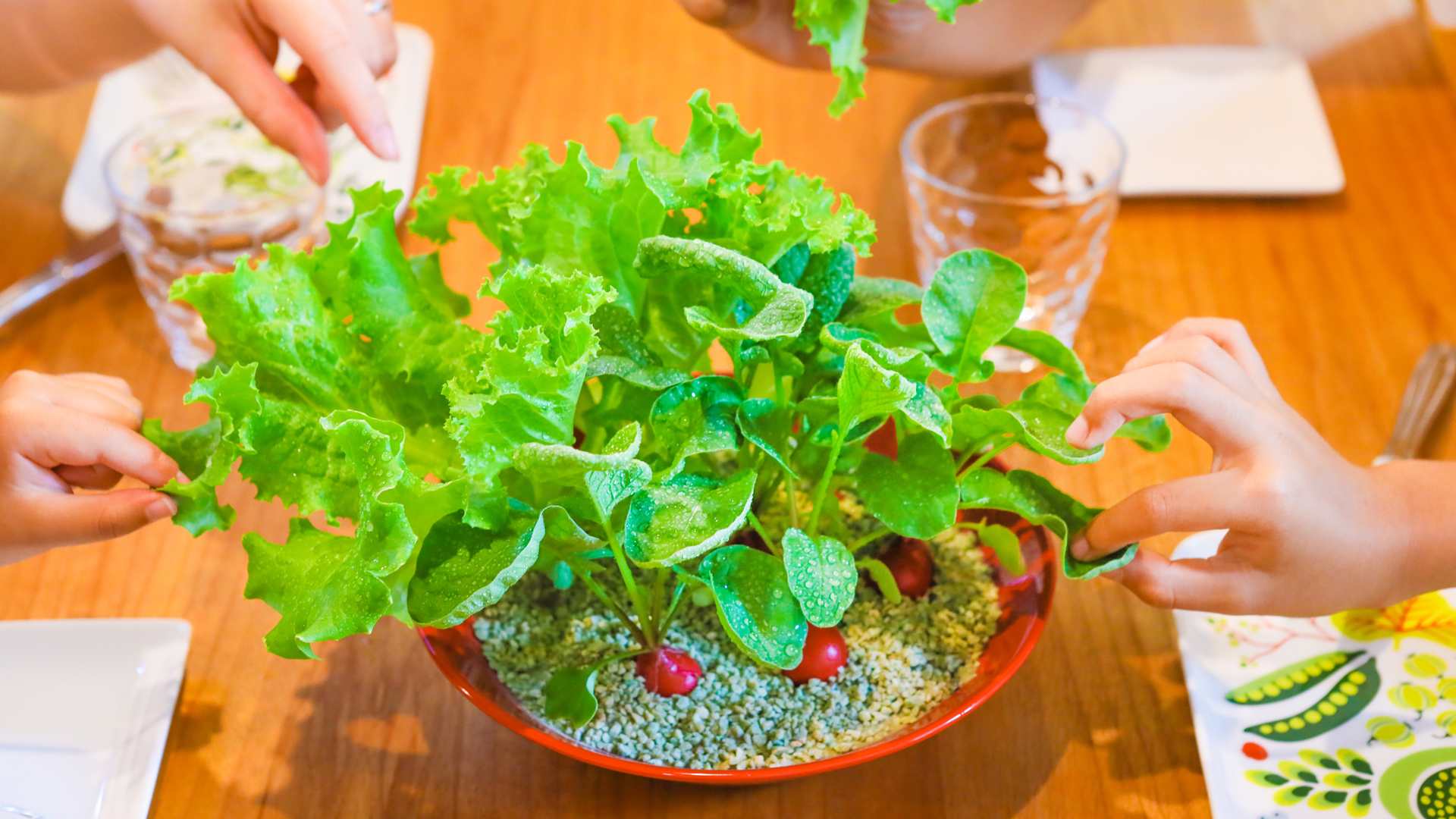 クリスタルグレイン野菜の土を700ml使用しリーフレタスとラディッシュ