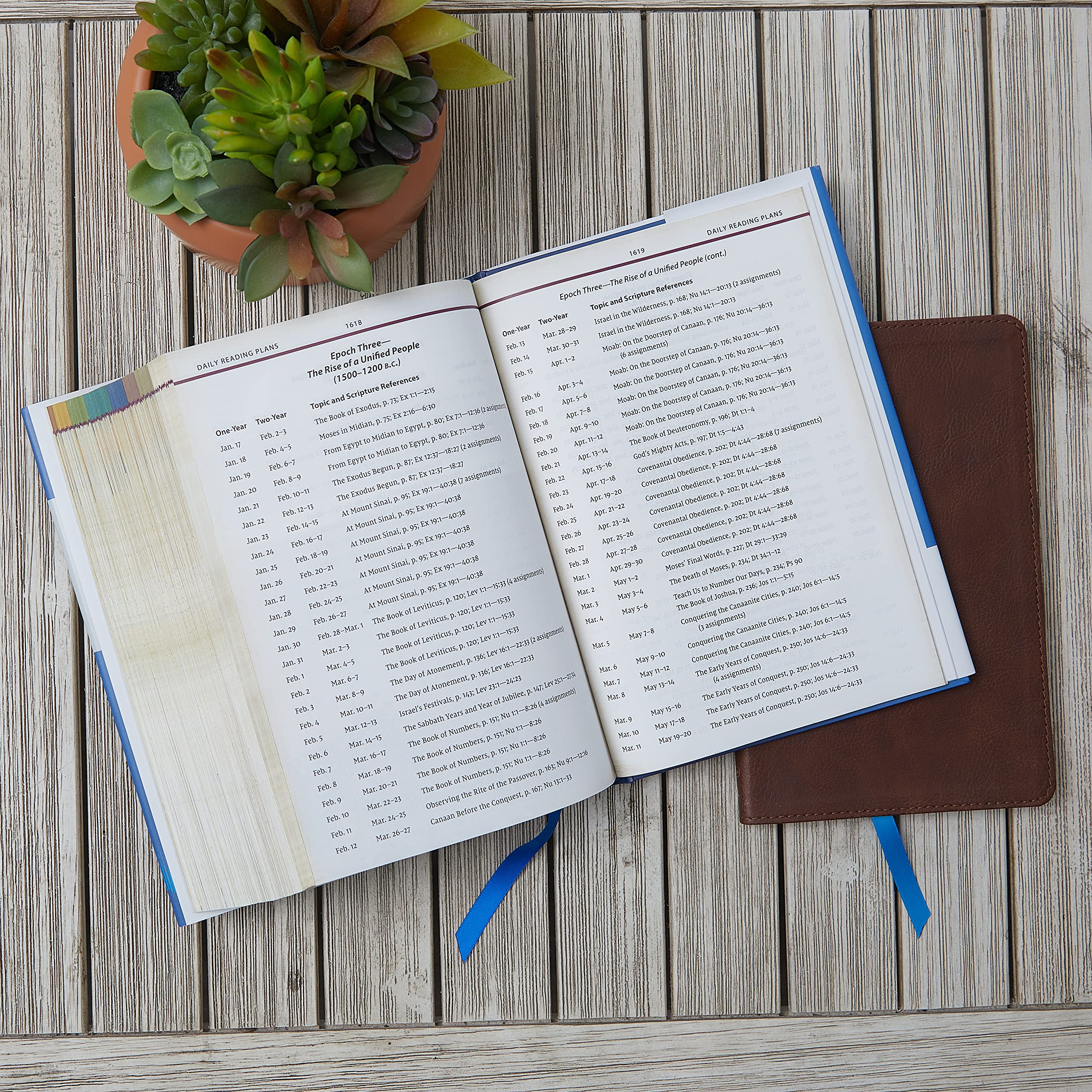 NIV, Chronological Study Bible, Hardcover, Comfort Print: Holy Bible, New International Version