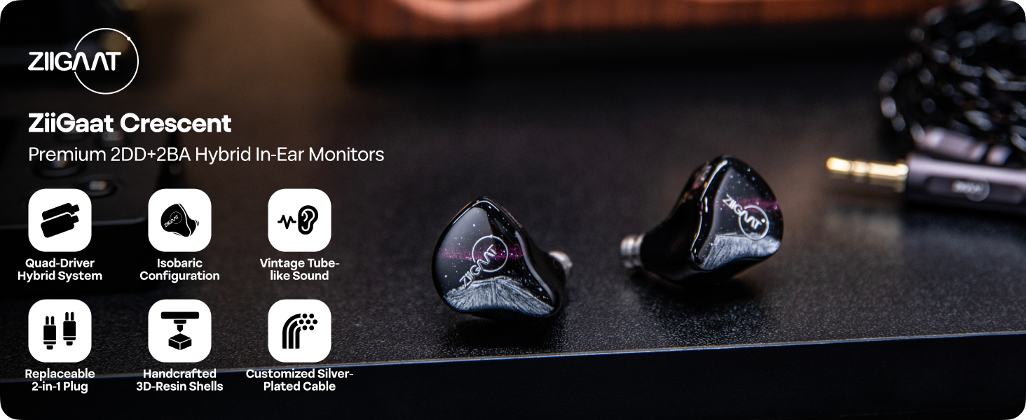 Amazon.com: Linsoul ZiiGaat Crescent in Ear Monitor, Premium 2DD+