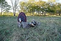 Vista 6 de MOJO Outdoors Turkey Hunting Decoys and Accessories