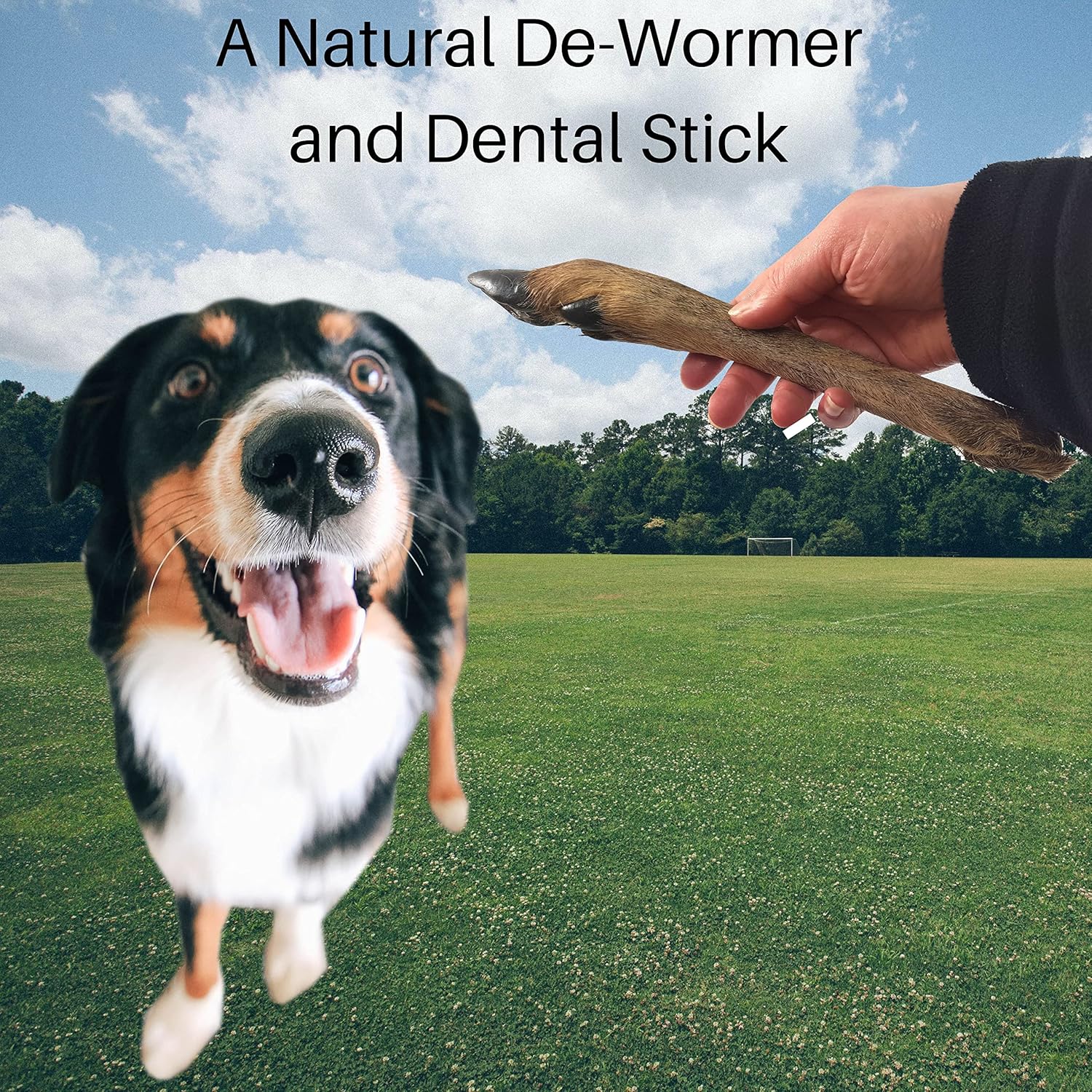 Britten and James Deer Legs with Hair for Dogs (Pack of 4) Natural De