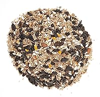 Vista 7 de Squirrel Buster - Comedero clásico para pájaros a prueba de ardillas con 4 puertos de alimentación, capacidad de semillas de 2.4 libras y Wagner's