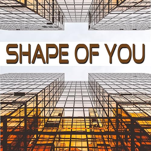 Shape of You (Instrumental, Playback, Karaoke) by Shape Of You on
