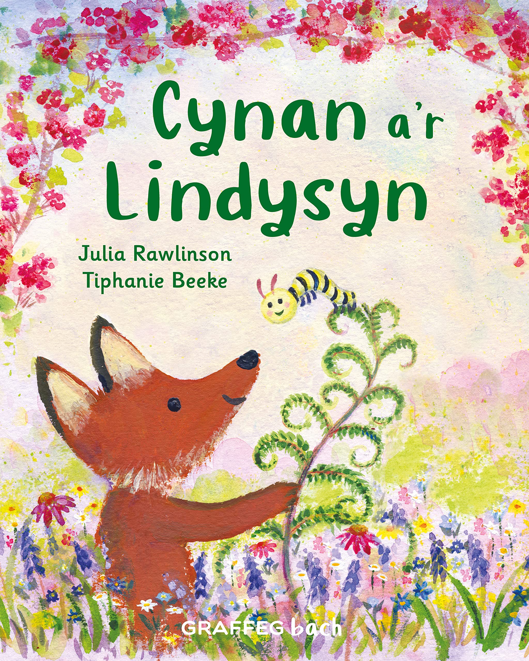 Cynan a’r Lindysyn: 5 (Pedwar Tymor Cynan)