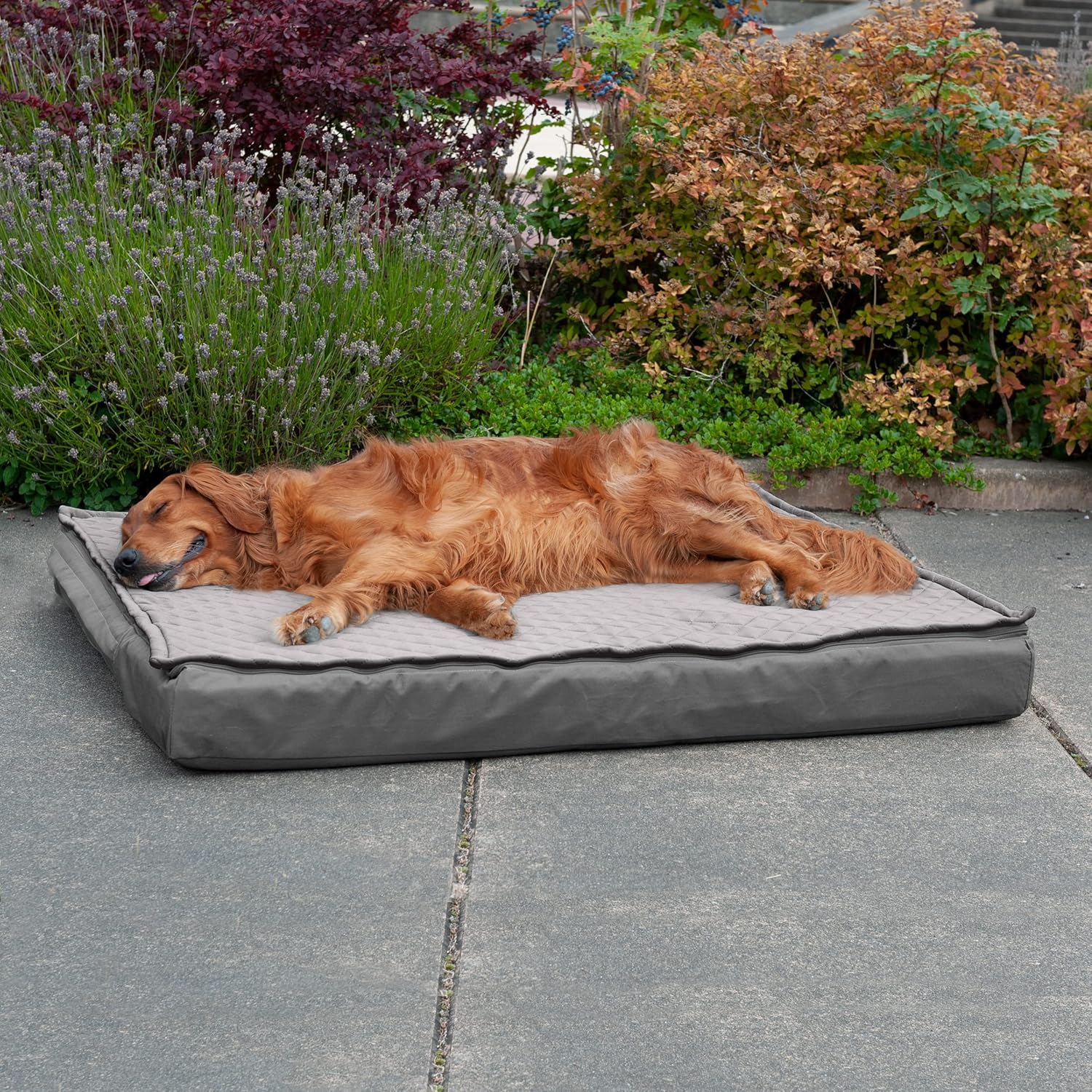 Ultimate Comfort for Your Pup: Reviewing the Furhaven Orthopedic Dog Bed!
