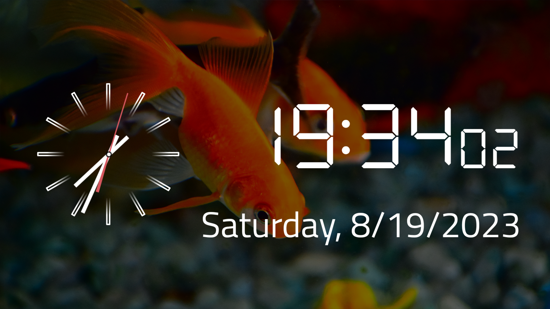 Aquarium Screensaver & Analog And Digital Clock For Tablets & Fire TV