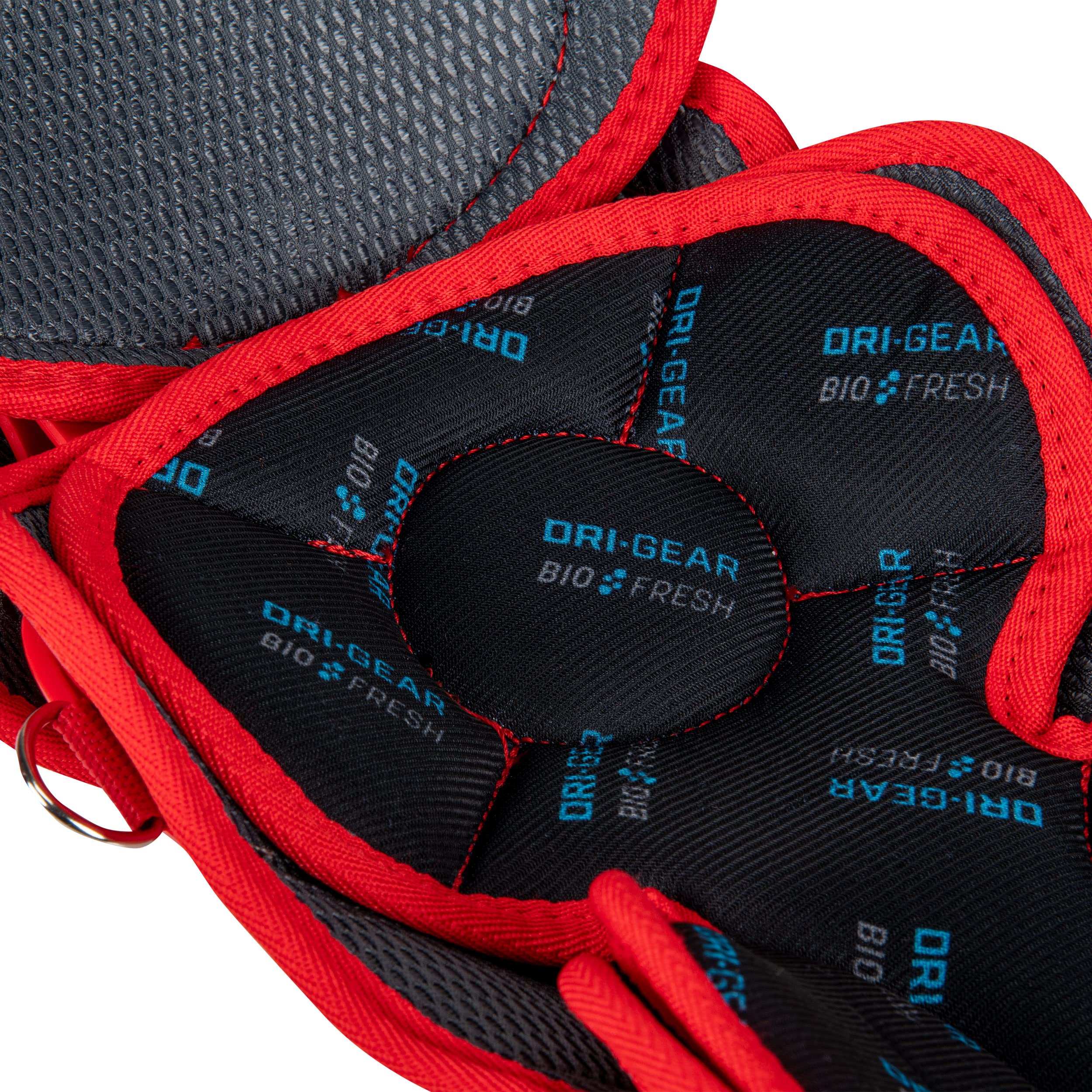 CHAMPRO Optimus Pro - Protectores de rodilla triples para béisbol/softbol