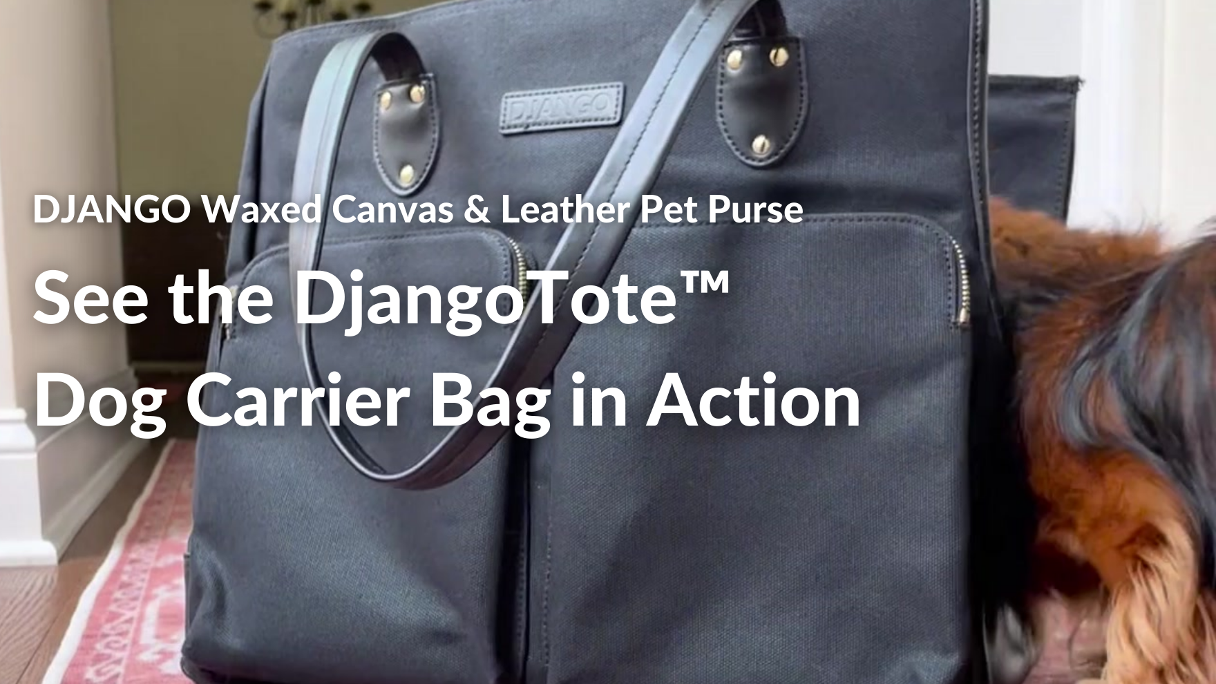 Amazon.com : DJANGO Waxed Canvas & Leather Dog Carrier Tote Bag