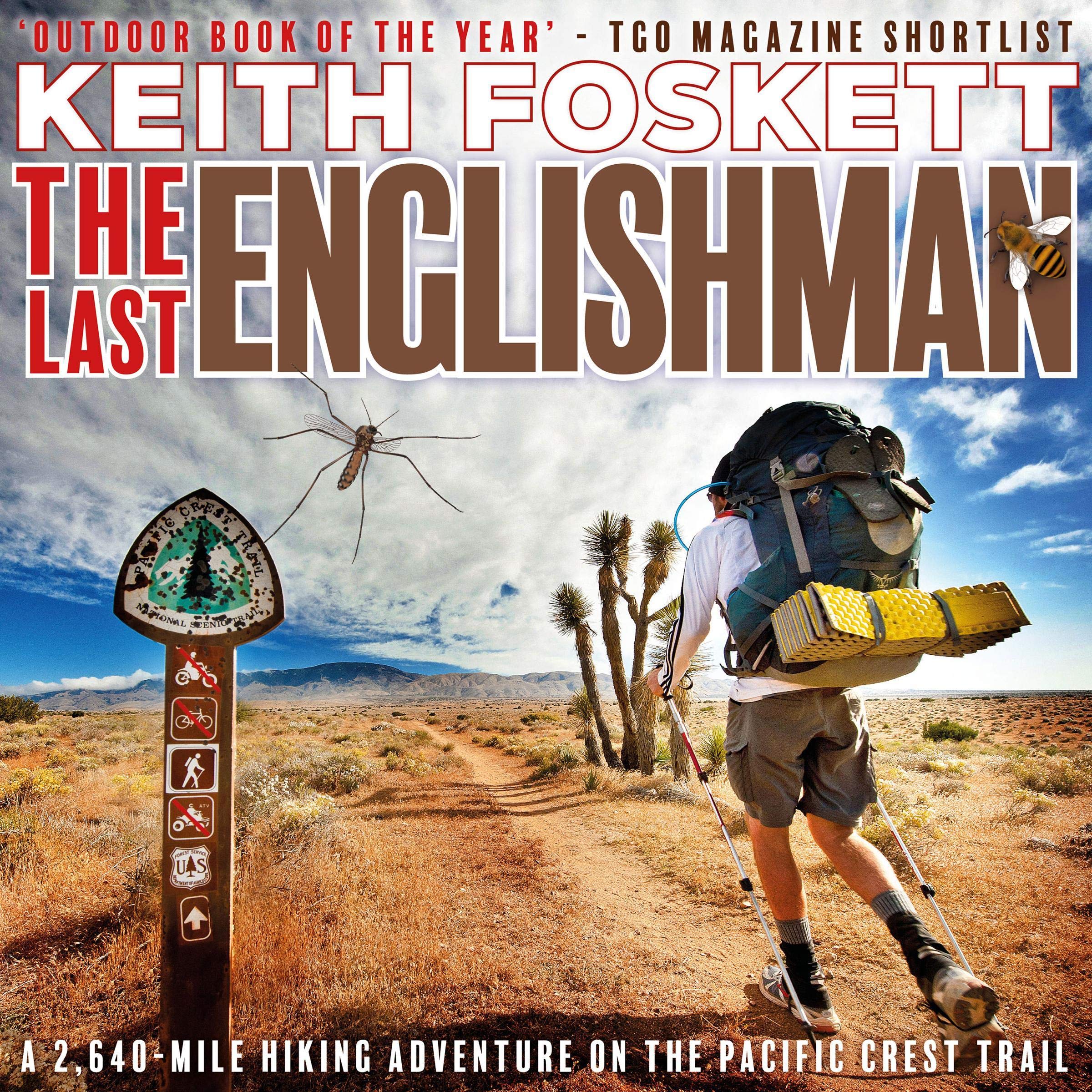 Cover art for The Last Englishman