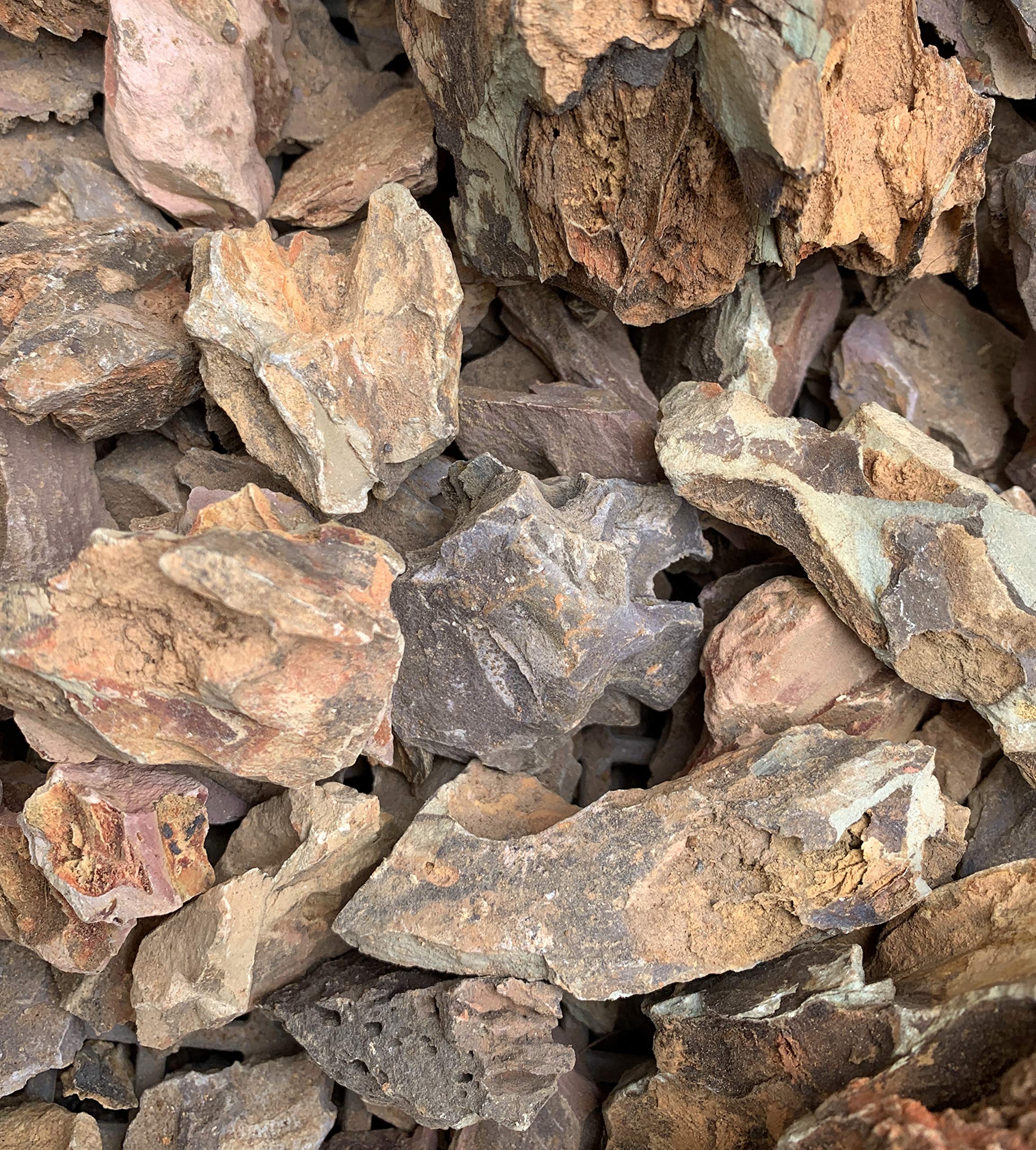 Amazon | 気孔石 黄虎石 蜂炎石 5-20㎜ 形状お任せ 50個 水槽 花壇