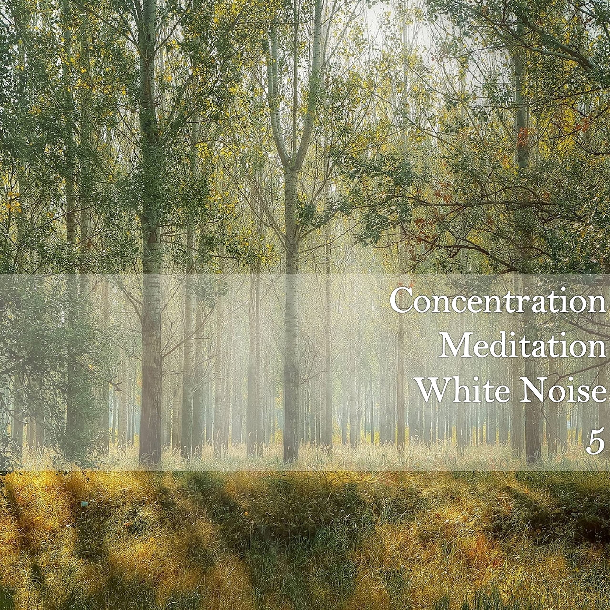 Concentration Meditation White Noise