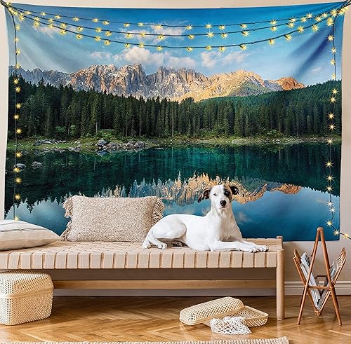 Miniatura 8 de Ambesonne - Colección de decoración de la casa de la granja la cálida primavera del sol brillando a través del toldo de los árboles de haya altos