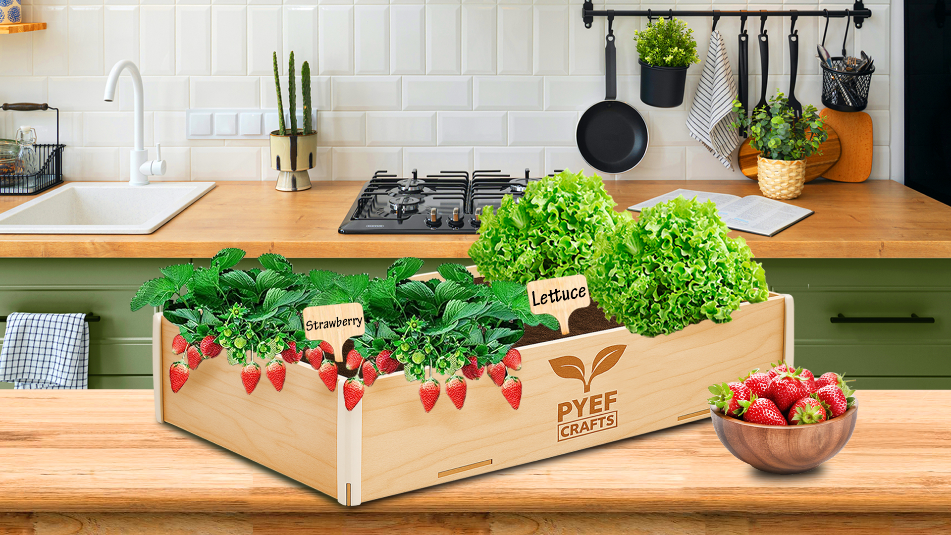 PYEF CRAFTS KIT Jardinage Potager Interieur XL Kit Indoor Prêt à Pousser - DIY P EUR 47,60