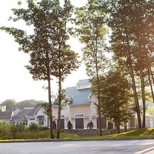 Miniatura 3 de Tillen Farms Frijoles Dilly en escabeche picantes y picantes, 12 onzas (paquete de 6)