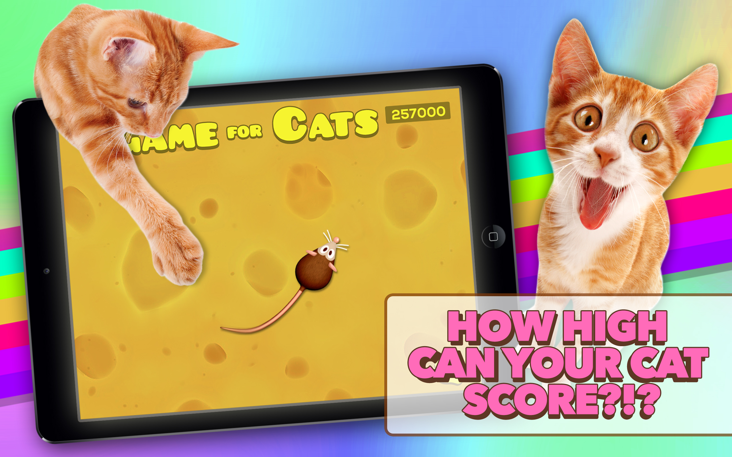 Game for Cats App on the Amazon Appstore