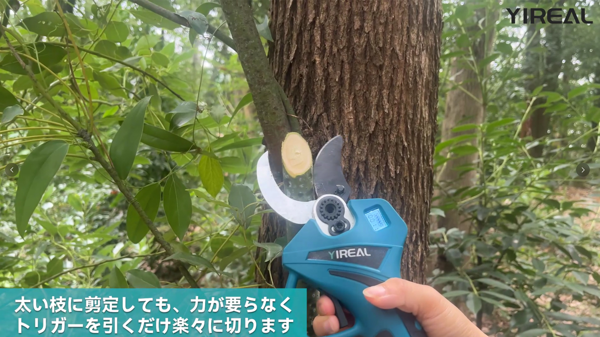 Amazon | 【新登場強化版】電動剪定バサミ 剪定バサミ 電動バサミ 18V