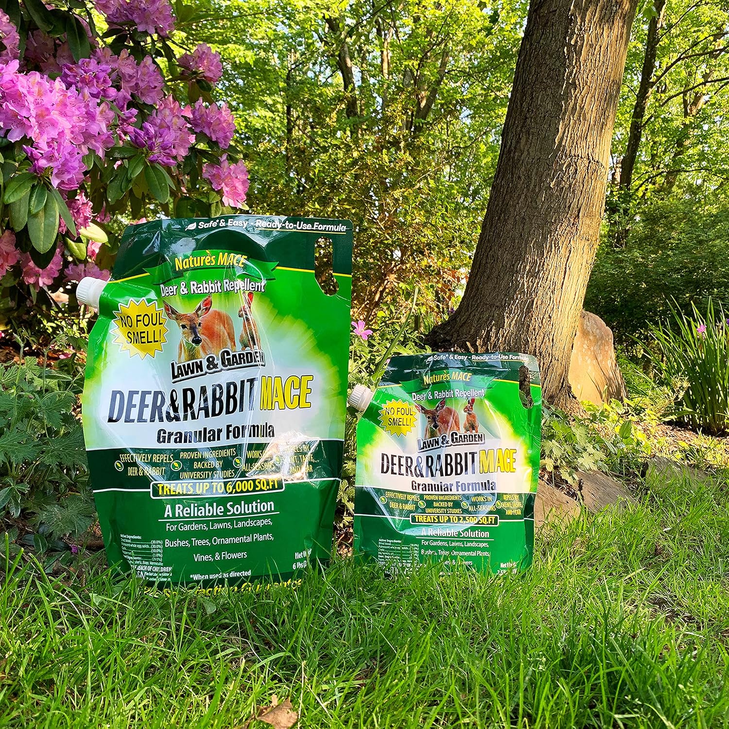 Best Rabbit Repellents For Plants Comparison & Reviews