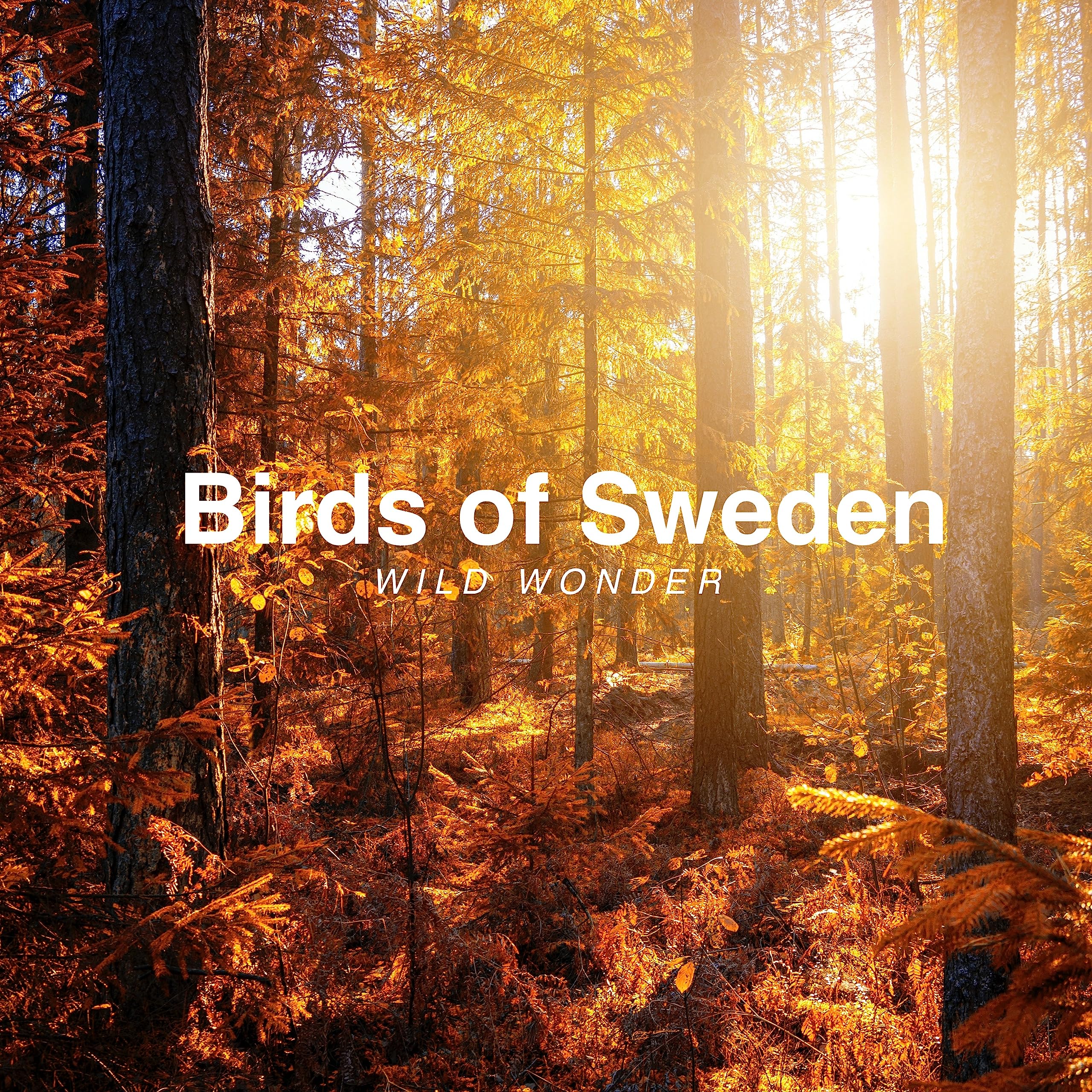 Birds of Sweden