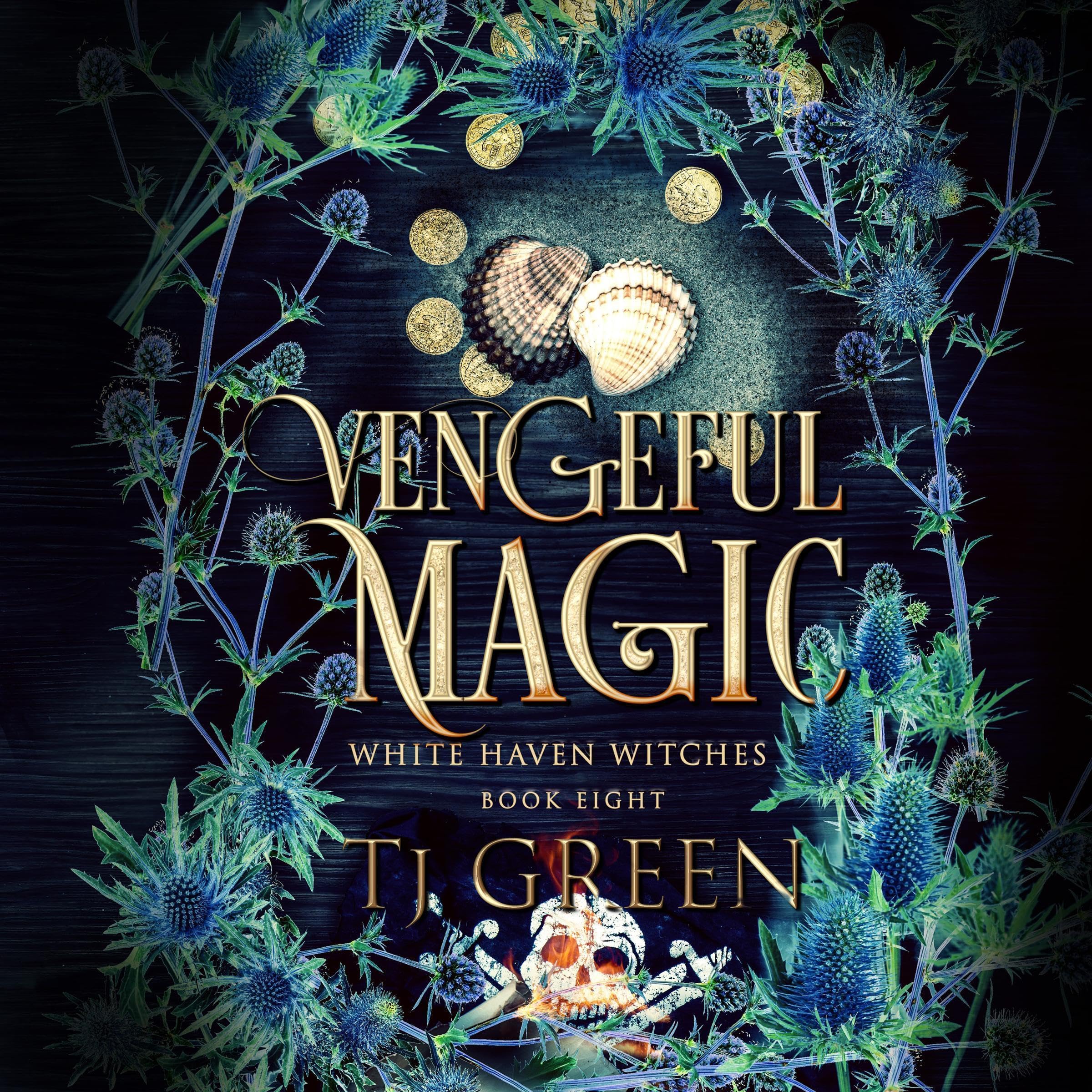 Cover art for Vengeful Magic