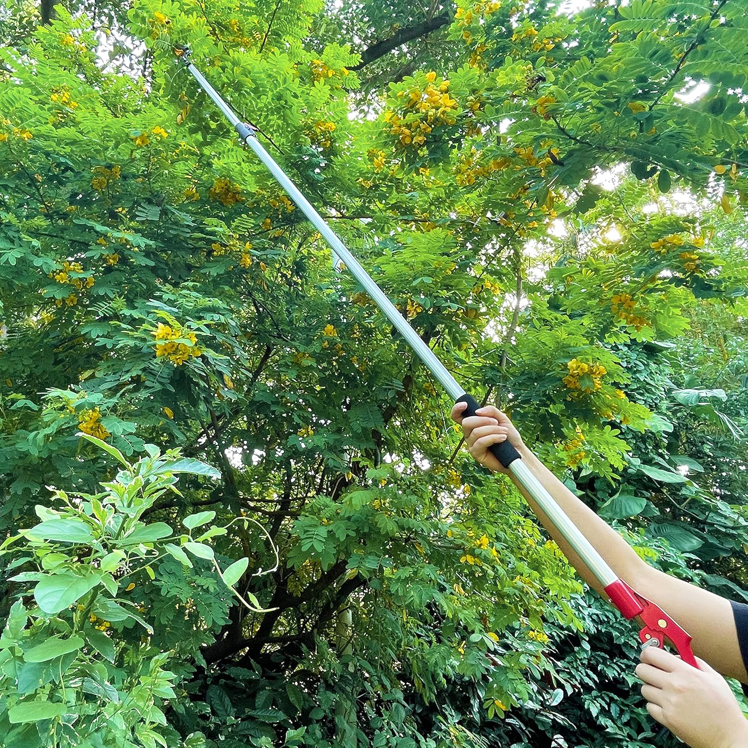 Best Telescopic Tree Loppers Reviews By Wirecutter