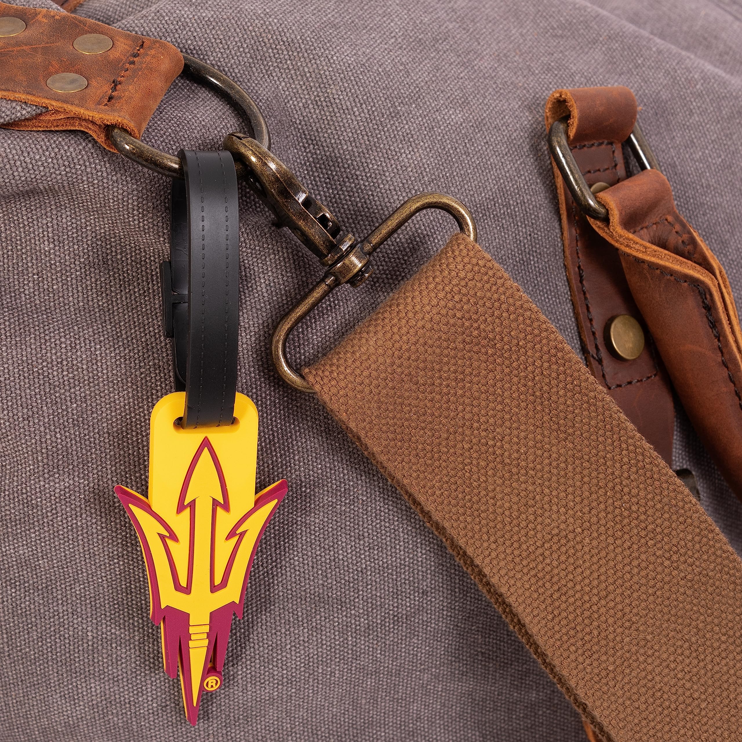 Amazon.com: Desert Cactus Arizona State University Luggage Tag