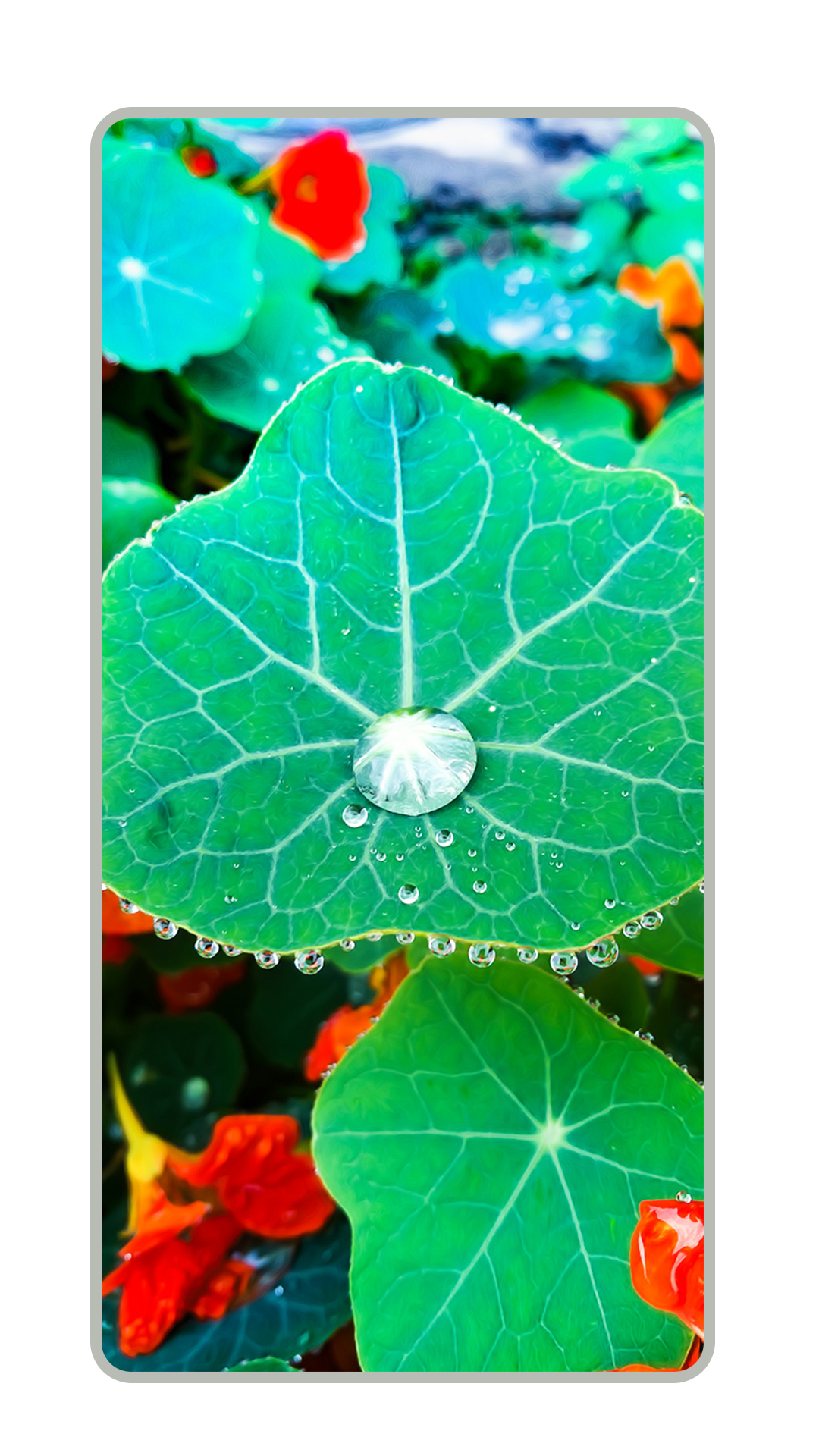 nature-hd-wallpapers-100-aplicativo-na-amazon-appstore